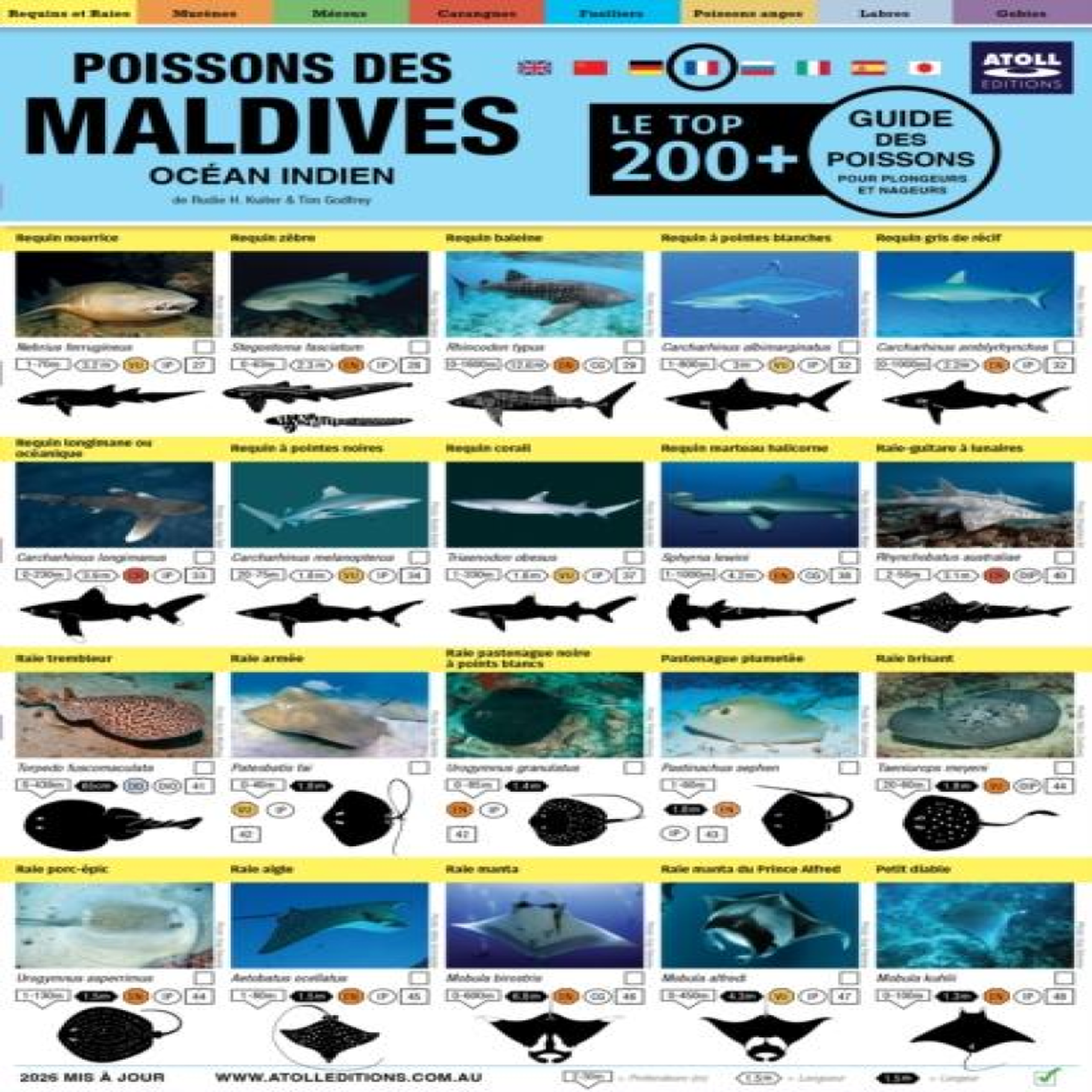 LIVRES Maldives Guide Des Poissons