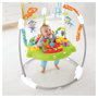 Voir la diapositive 2 : Fisher price Aire de jeux sons et lumières Jumperoo Jungle