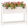 Voir la diapositive 4 : VIDAXL Jardiniere et etagere Blanc 111,5x34,5x81 cm Bois massif de pin