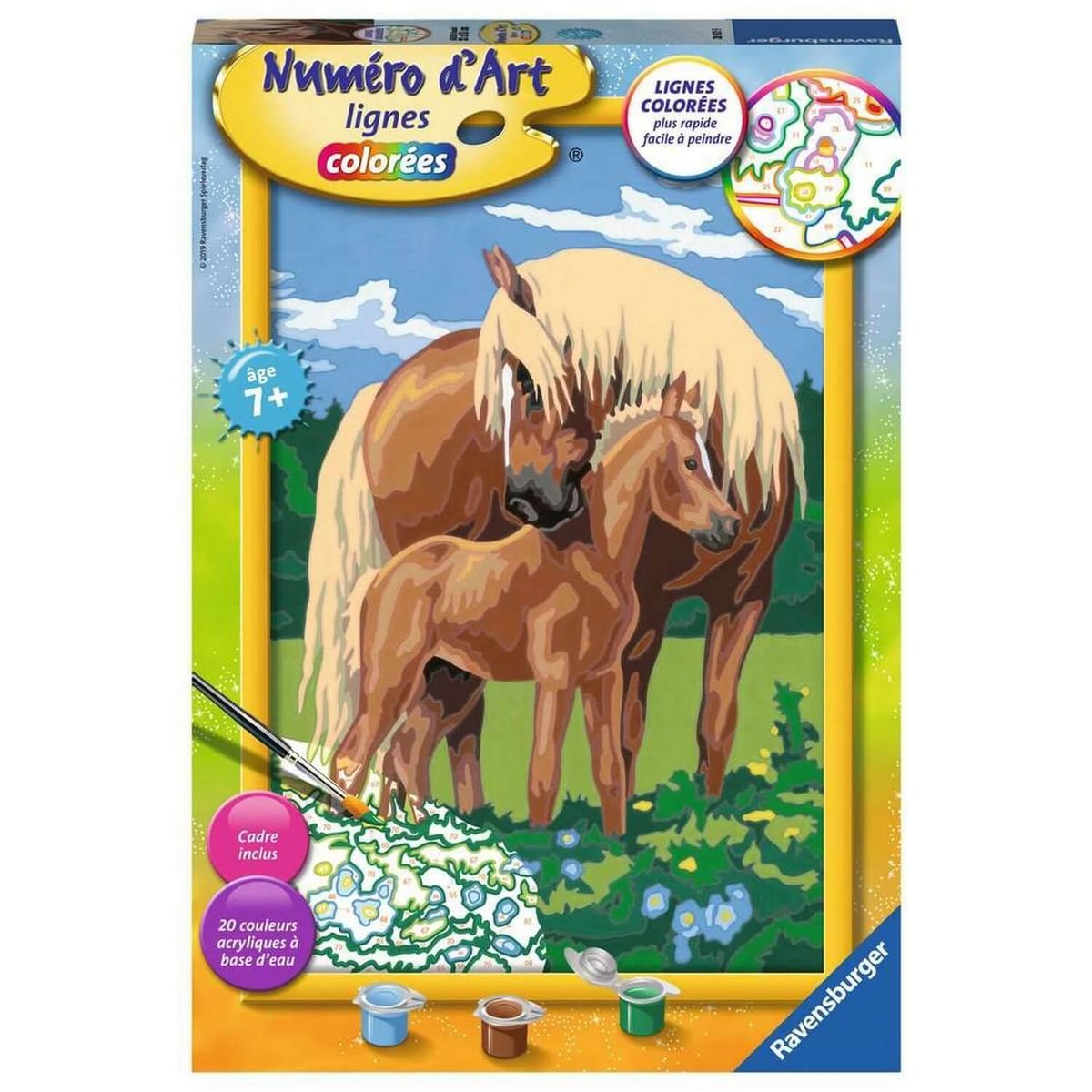 RAVENSBURGER Numéro d'art Peinture au numéro : Grand Format : Fiers chevaux