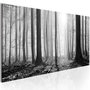 Voir la diapositive 1 : Paris Prix Tableau Imprimé  Black & White Forest
