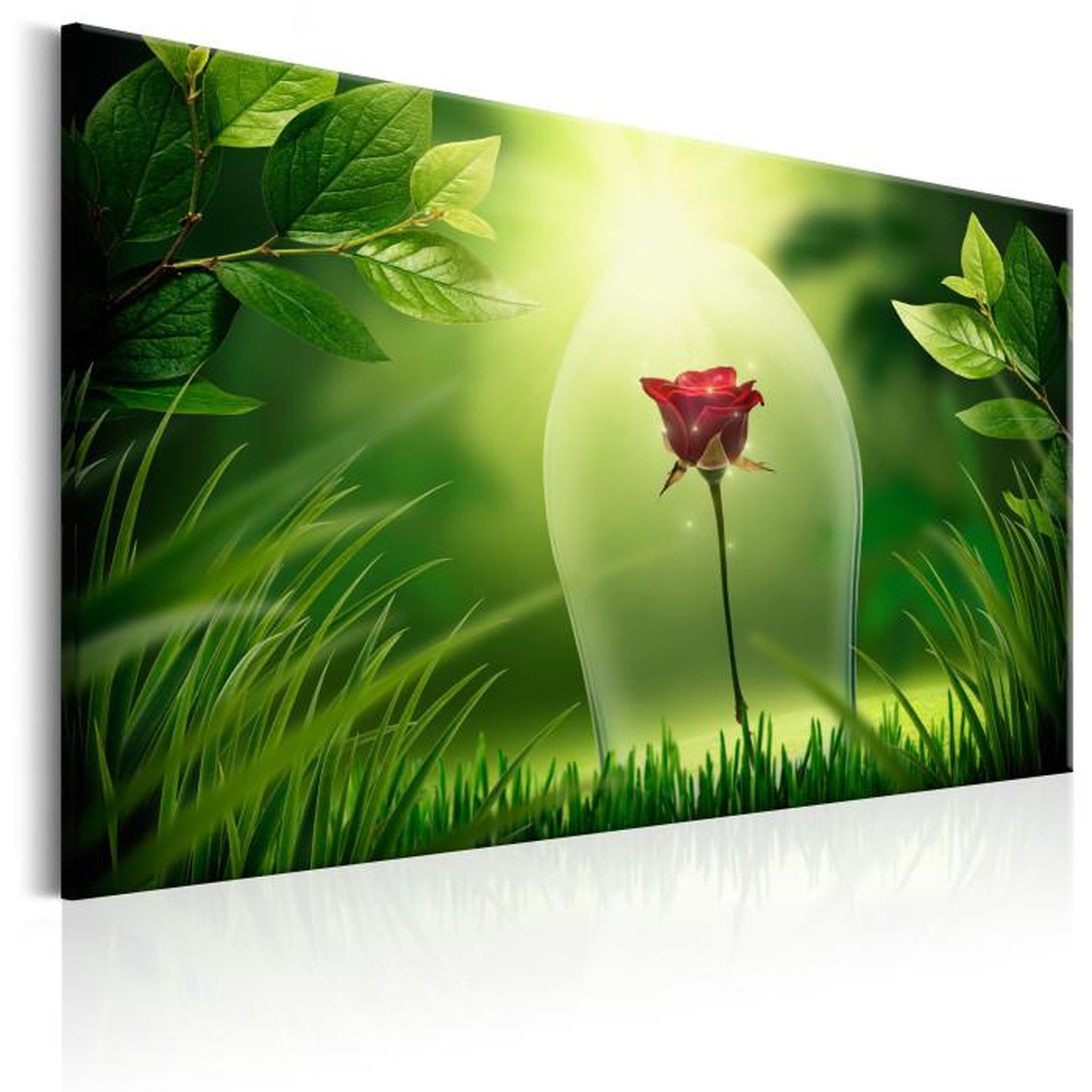 Paris Prix Tableau Imprimé  Magical Rose. Coloris disponibles : Multicolore