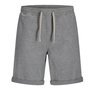 Voir la diapositive 1 : Jack & Jones Short Gris Homme Jack & Jones Jaidens