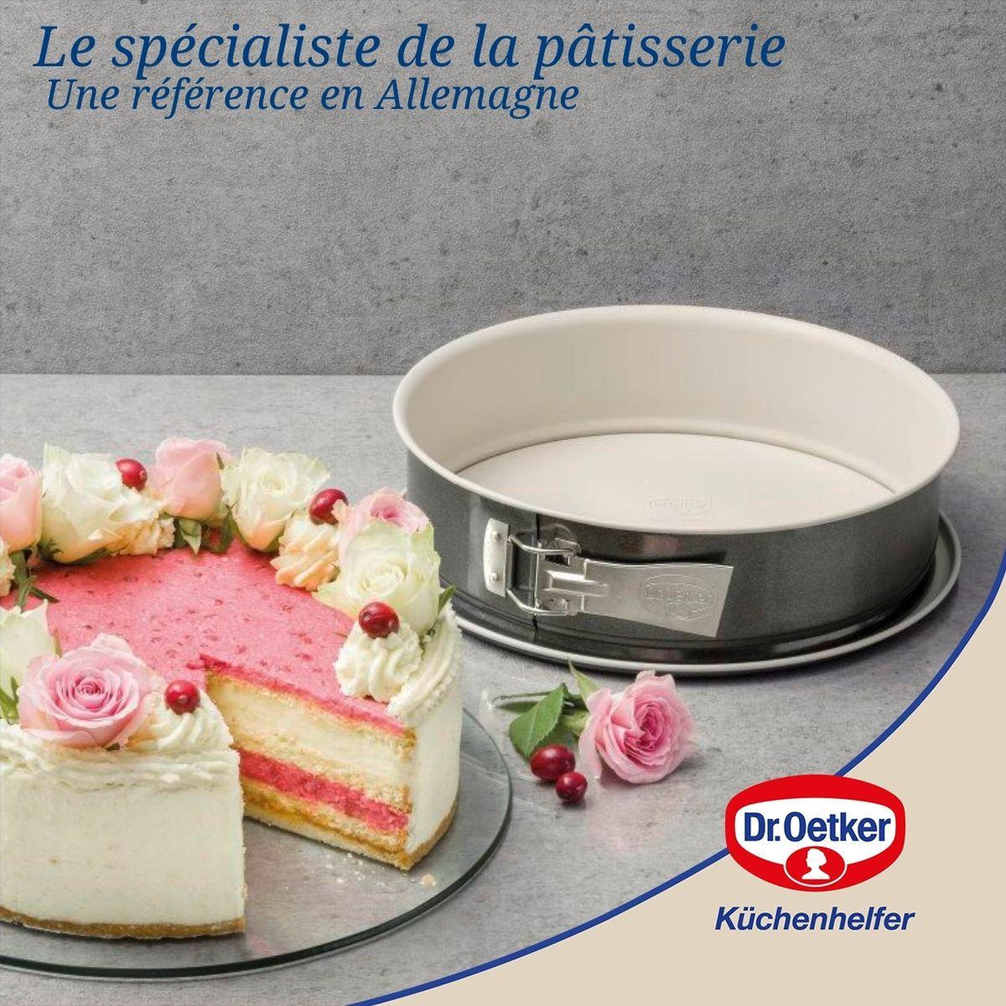 Voir la diapositive 6 : DR.OETKER Moule à manqué 28 cm dr.oetker back trend