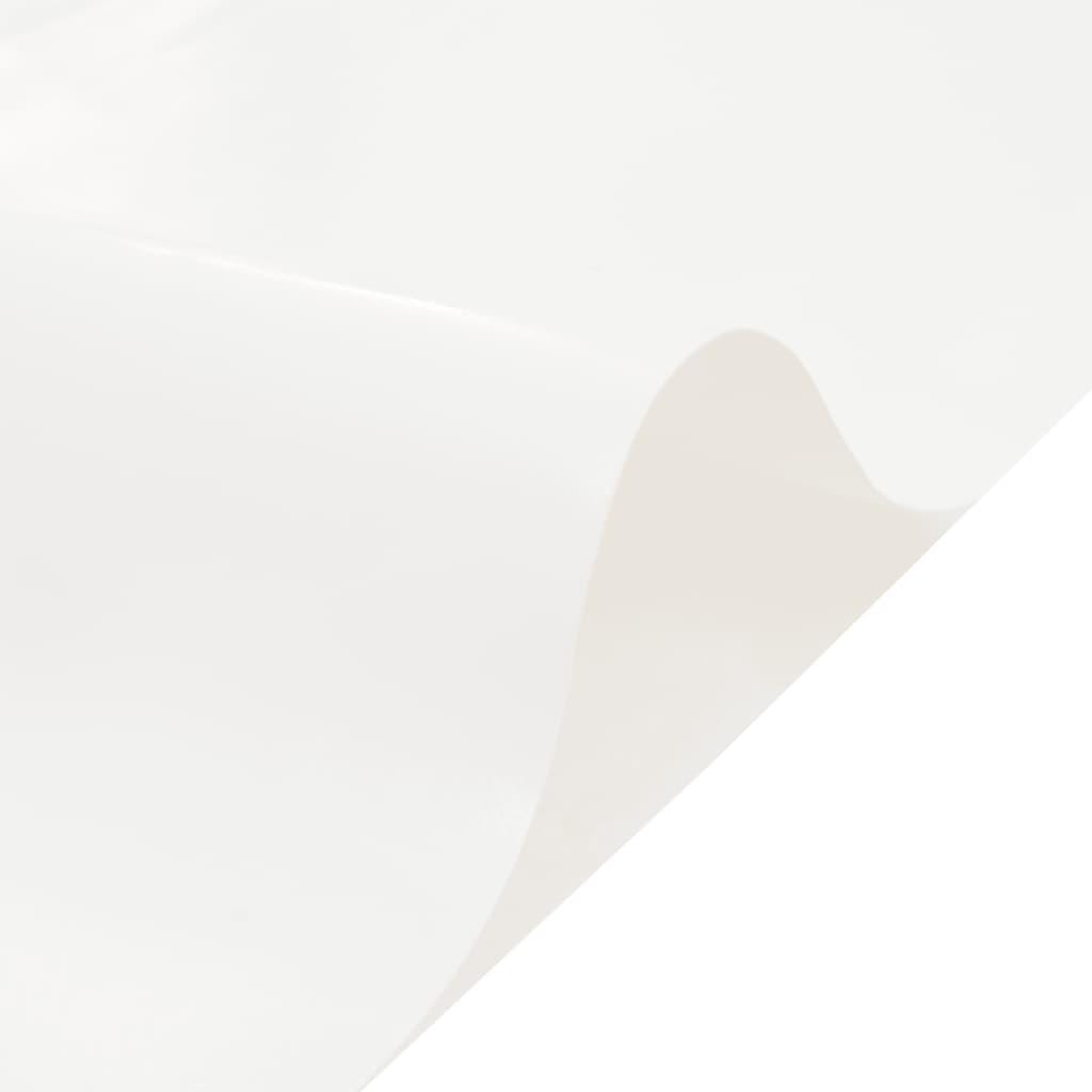 Voir la diapositive 4 : VIDAXL Bache blanc 4x5 m 650 g/m²