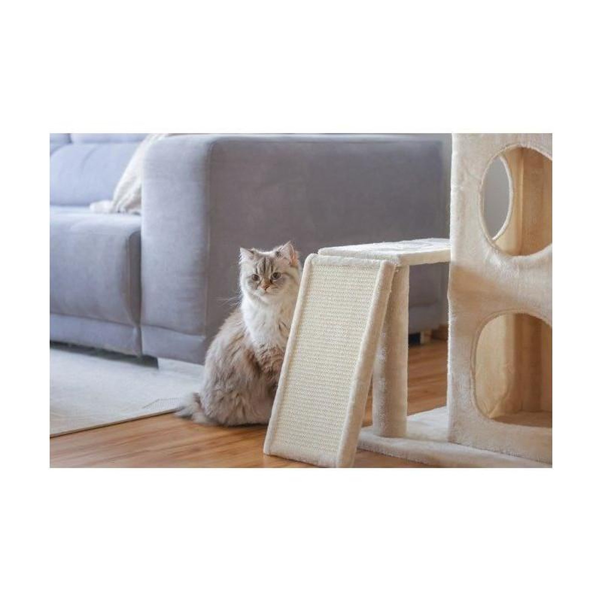 Voir la diapositive 3 : KERBL Arbre a chat 100 cm - ALESSIA - KERBL - Moelleux - Alcôve a deux étages