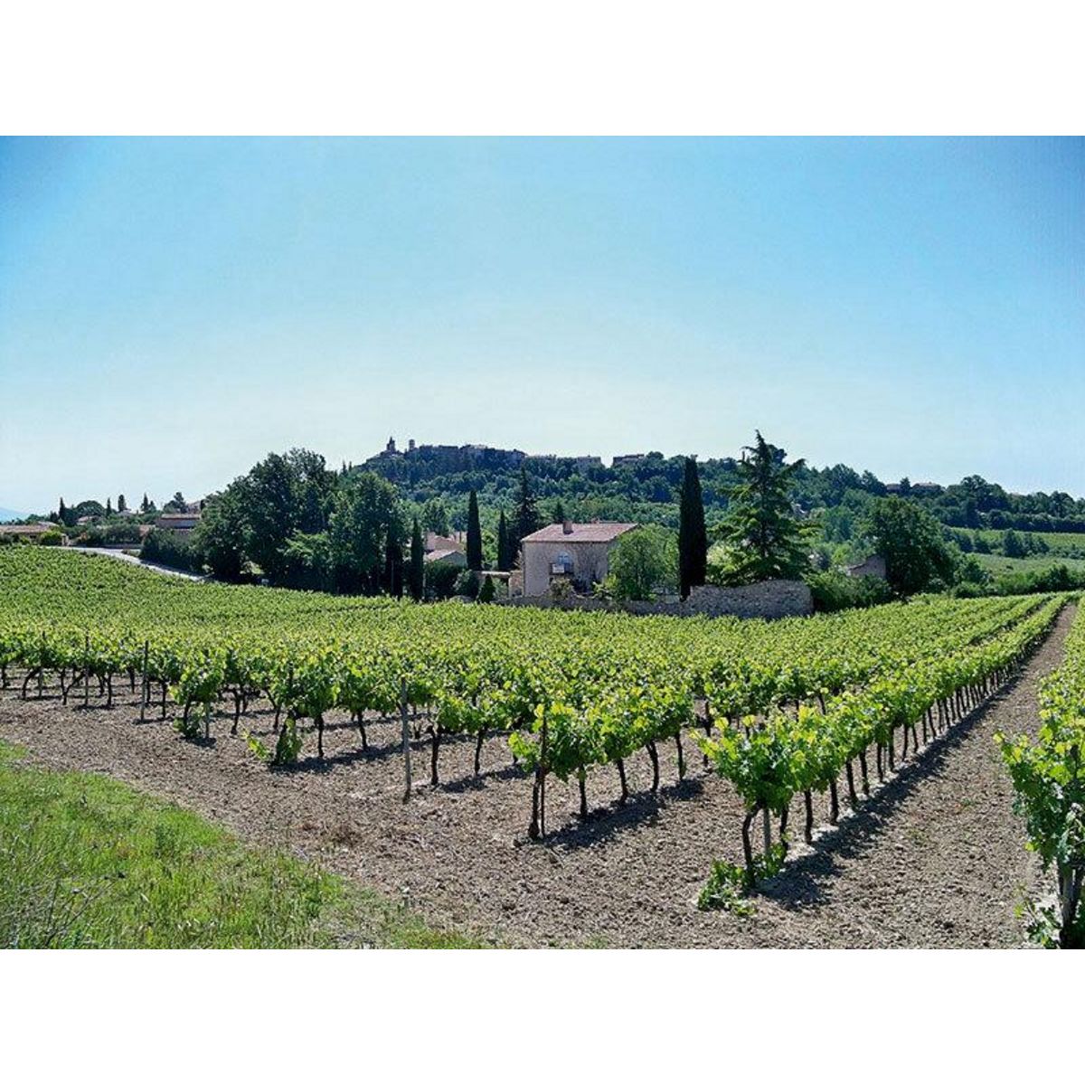 Smartbox Visite et dégustation de vin pour 1 ou 2 personnes - Coffret Cadeau Gastronomie