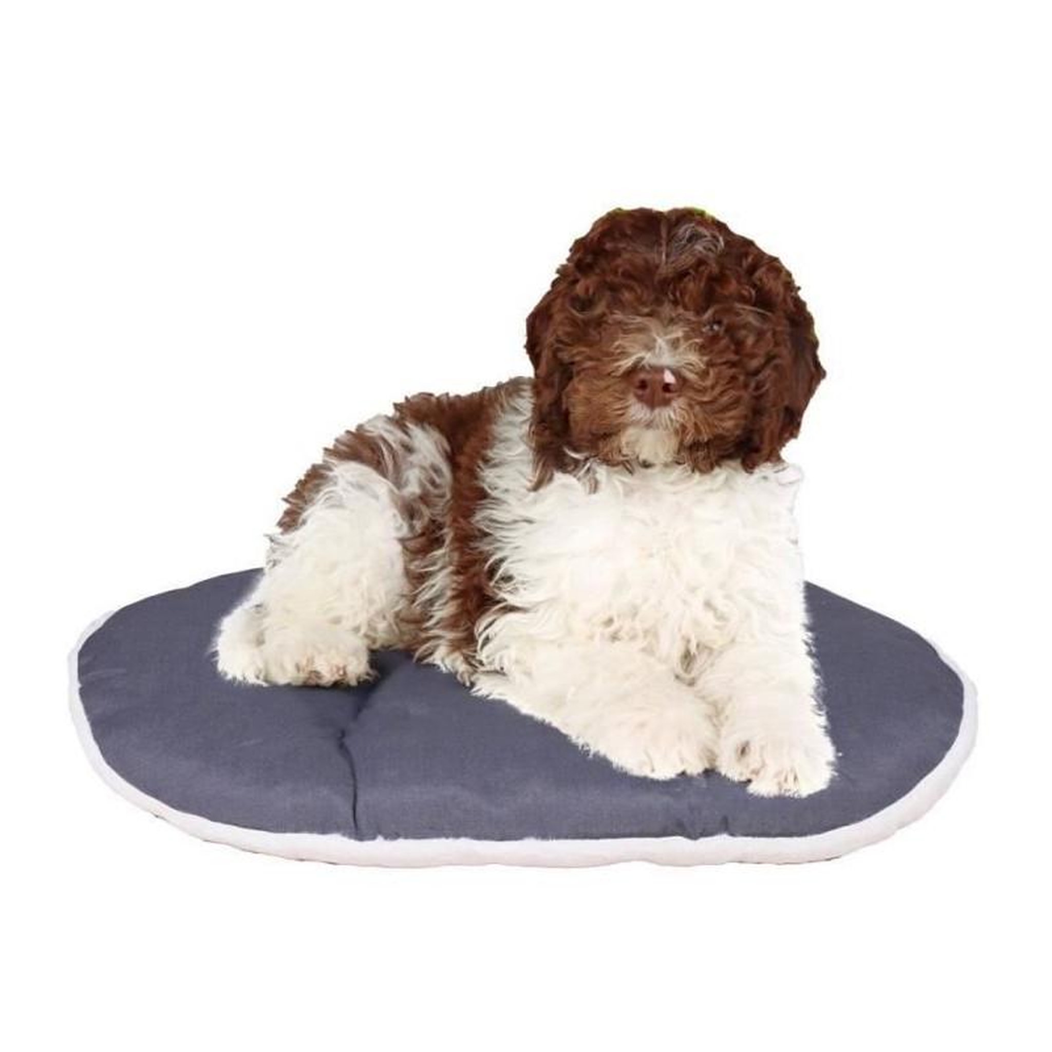 Voir la diapositive 6 : Ferplast Coussin - FERPLAST - RELAX 78/8 - 78 x 50 cm - Tissu et fourrure