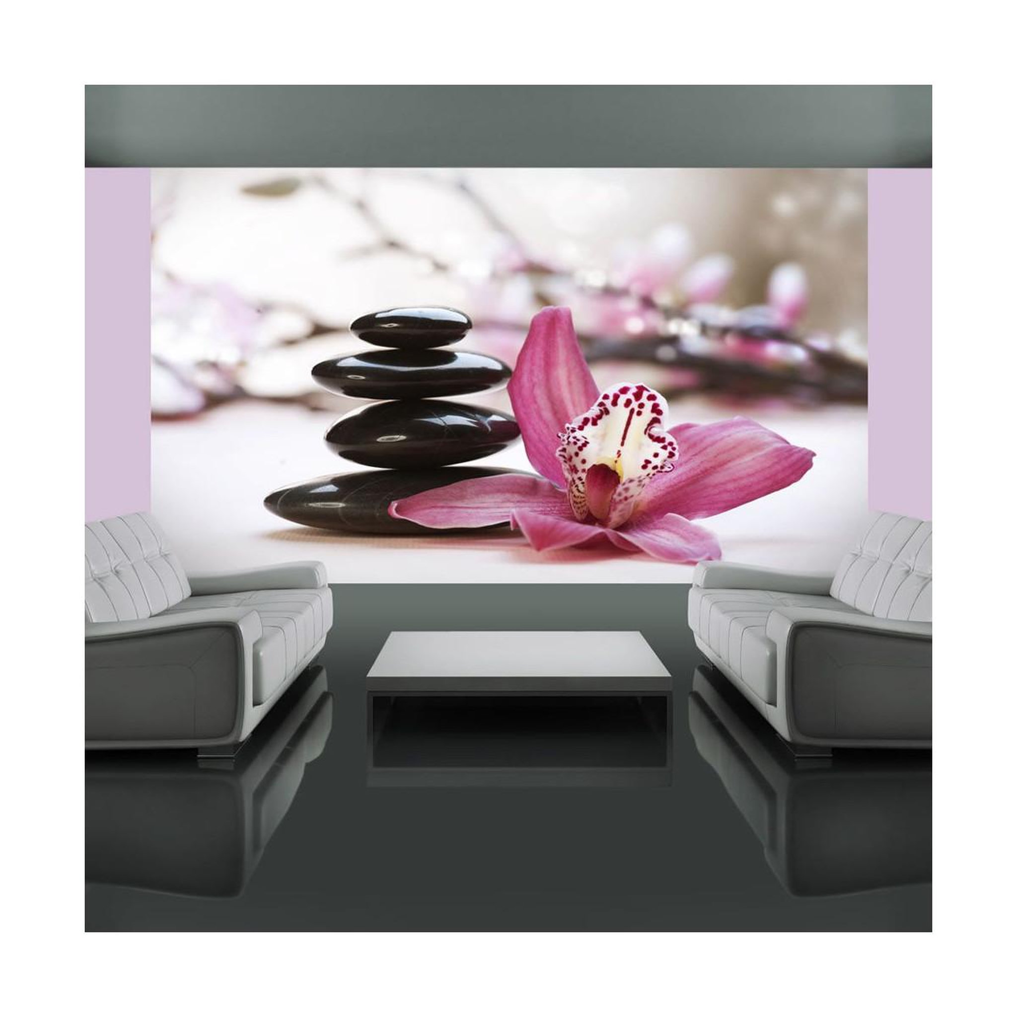 Paris Prix Papier peint  relaxation & wellness ii  270x450cm