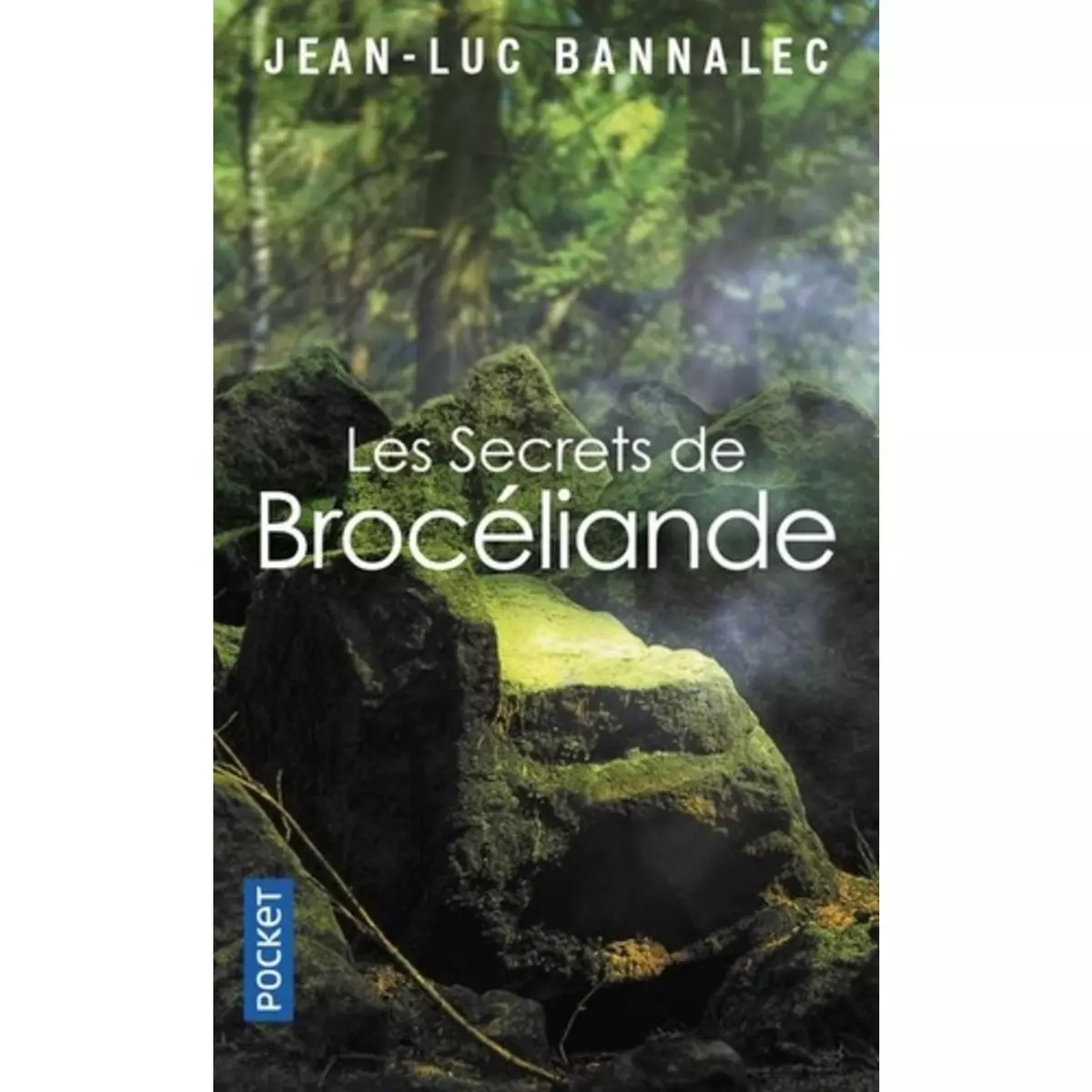  UNE ENQUETE DU COMMISSAIRE DUPIN : LES SECRETS DE BROCELIANDE, Bannalec Jean-Luc