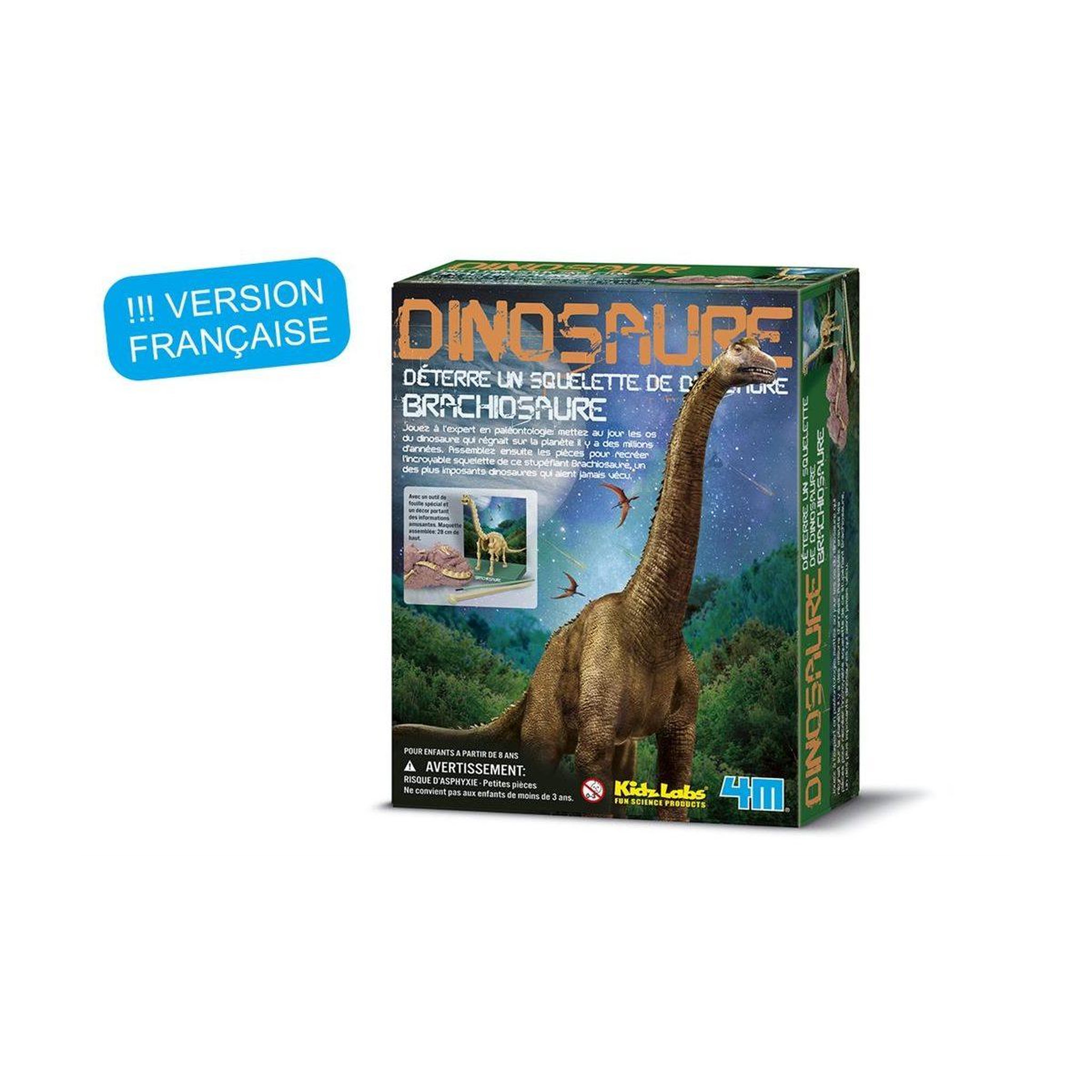 GRAINE CRÉATIVE Deterre ton dinosaure brachiosaure