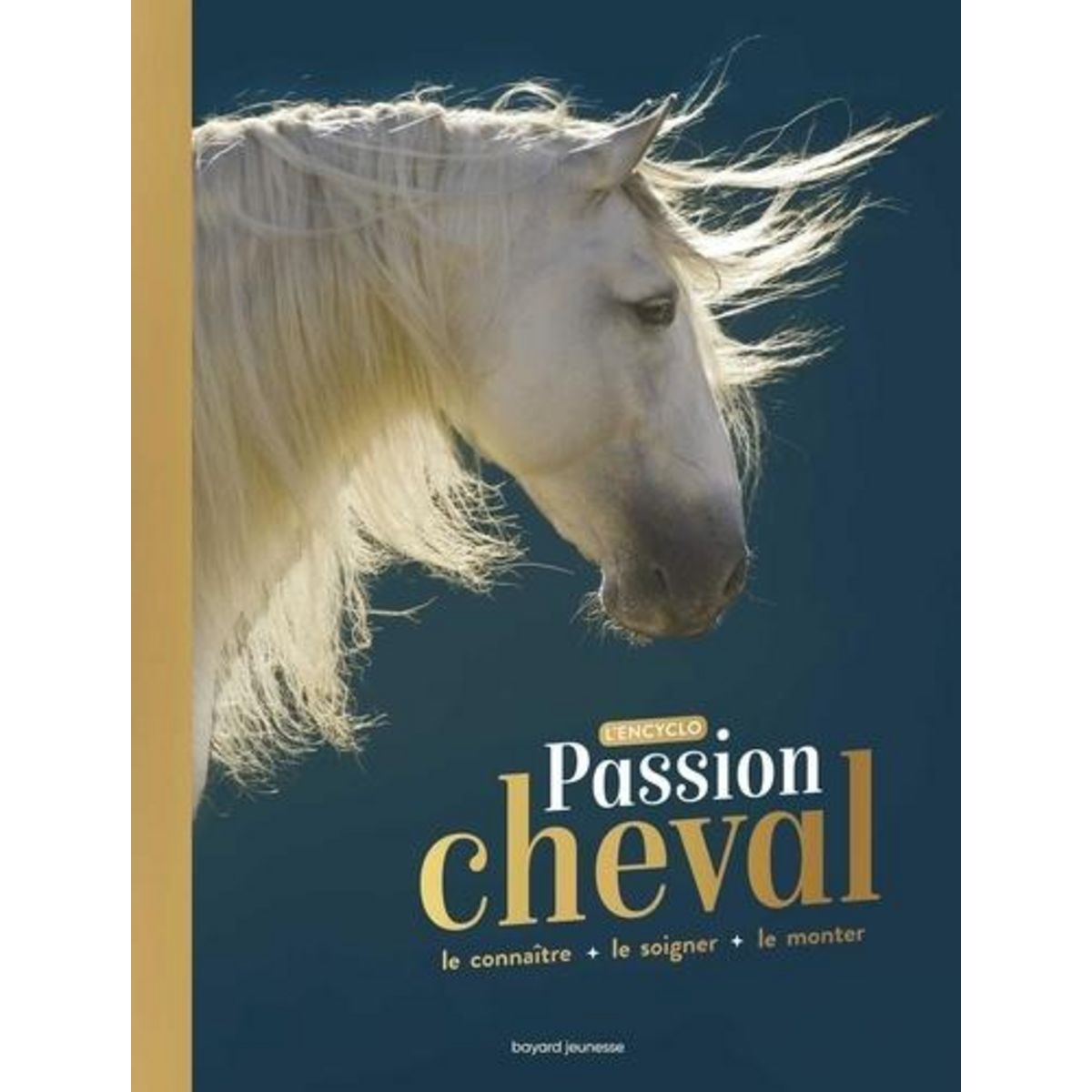 PASSION CHEVAL. LE CONNAITRE + LE SOIGNER + LE MONTER, Plet Cécile