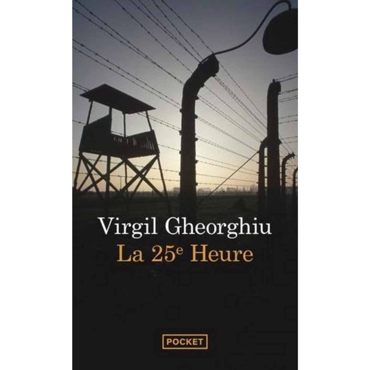 LA VINGT-CINQUIEME HEURE, Gheorghiu Virgil