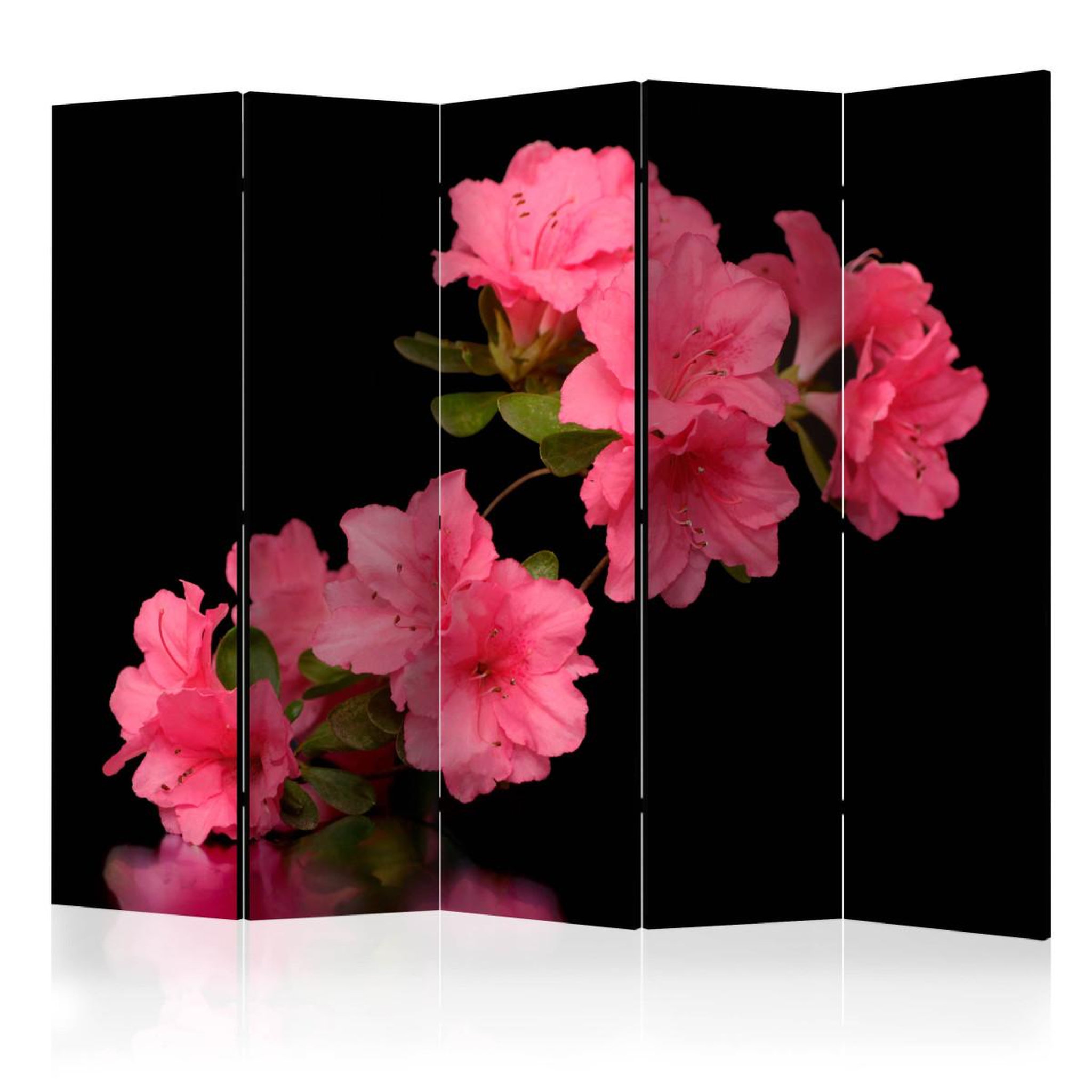 Paris Prix Paravent 5 volets  azalea in black  172x225cm