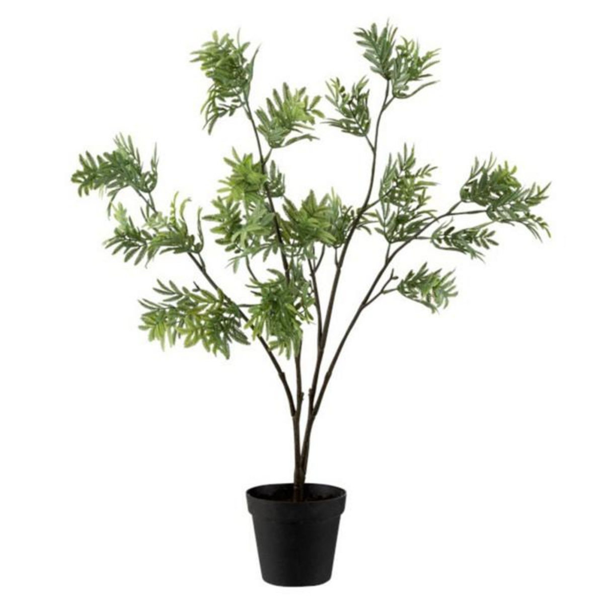 Paris Prix Plante Artificielle en Pot  Mimosa  73cm Vert