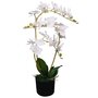 VIDAXL Plante artificielle avec pot Orchidee 65 cm Blanc