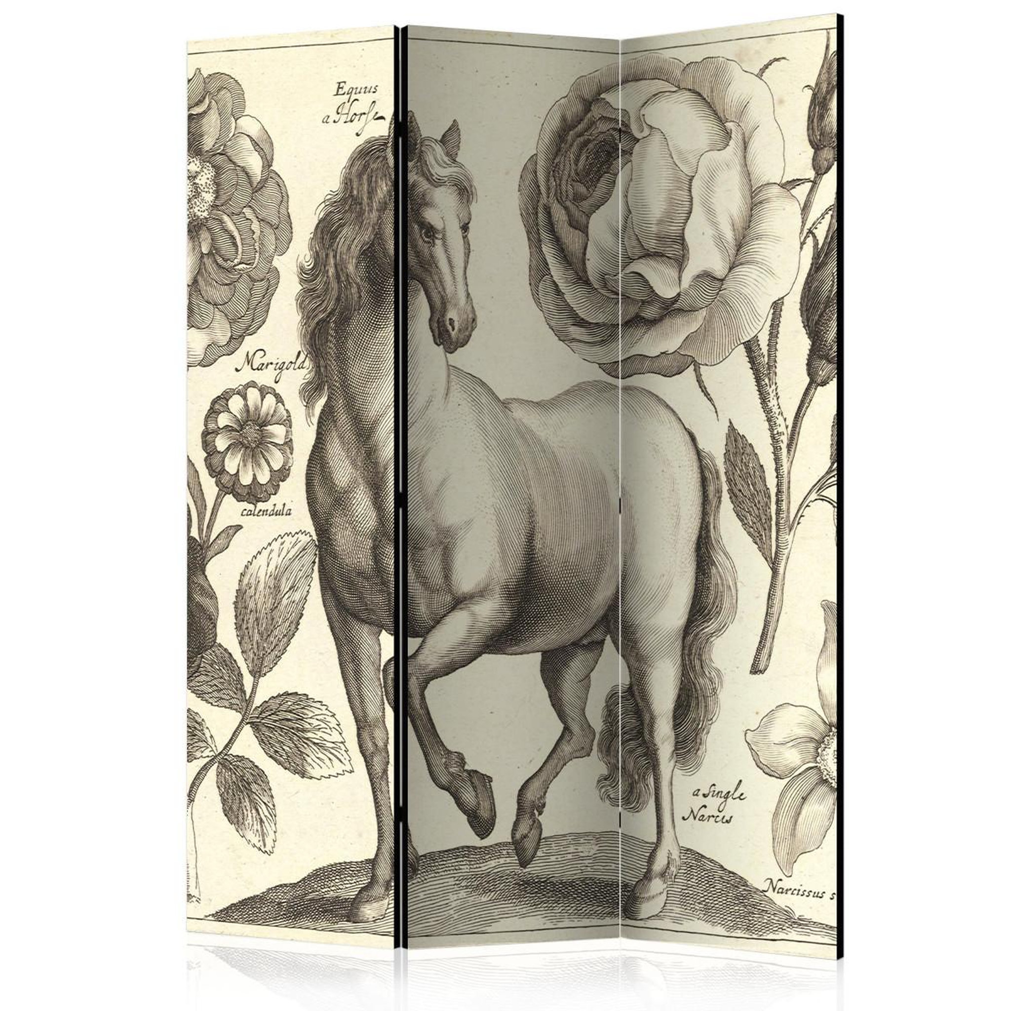 Paris Prix Paravent 3 volets  horse  135x172cm