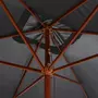 VIDAXL Parasol d'exterieur avec mat en bois 200 x 300 cm Anthracite