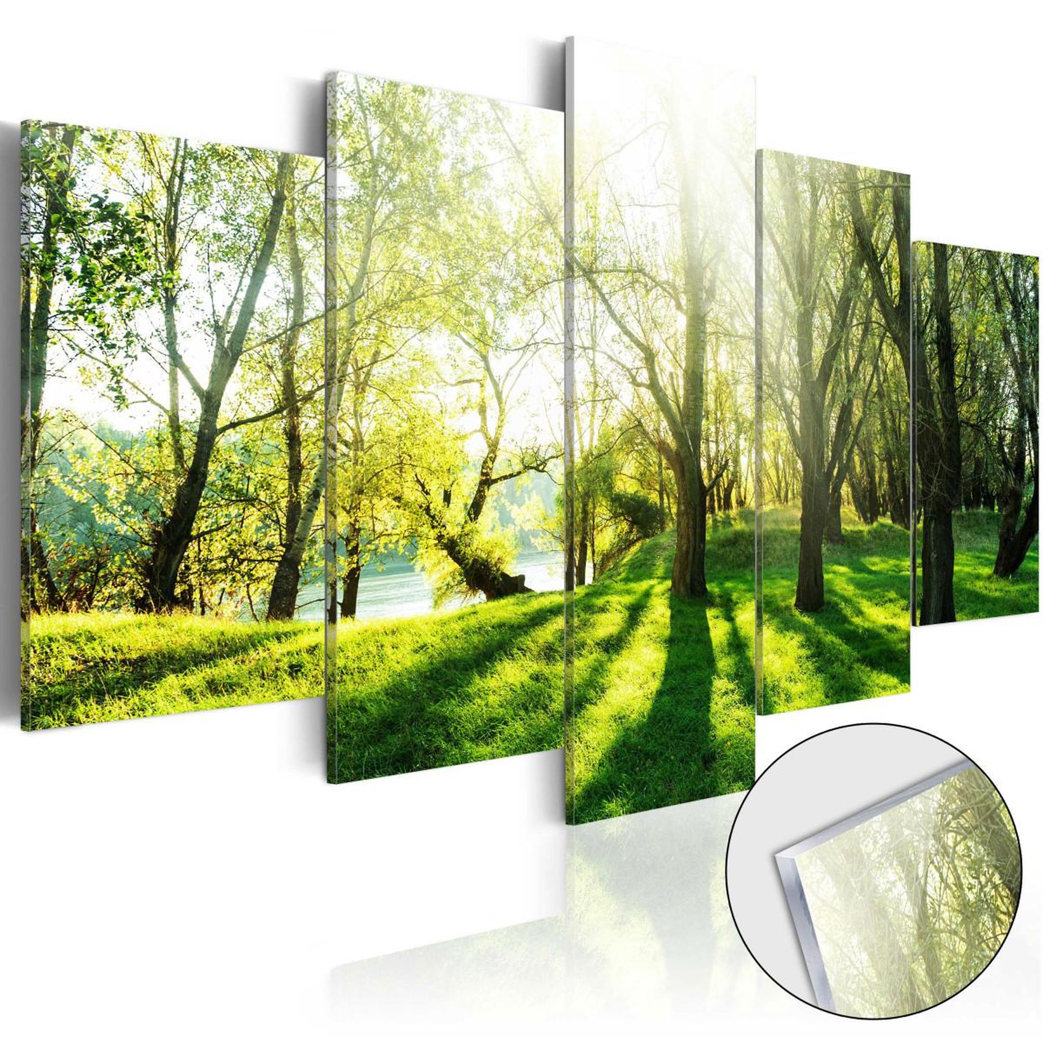 Paris Prix Tableau sur verre acrylique  green glade. Coloris disponibles : Multicolore