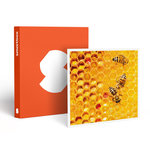 Smartbox Participez à la sauvegarde des abeilles avec 1 an de parrainage d'une ruche - Coffret Cadeau Multi-thèmes