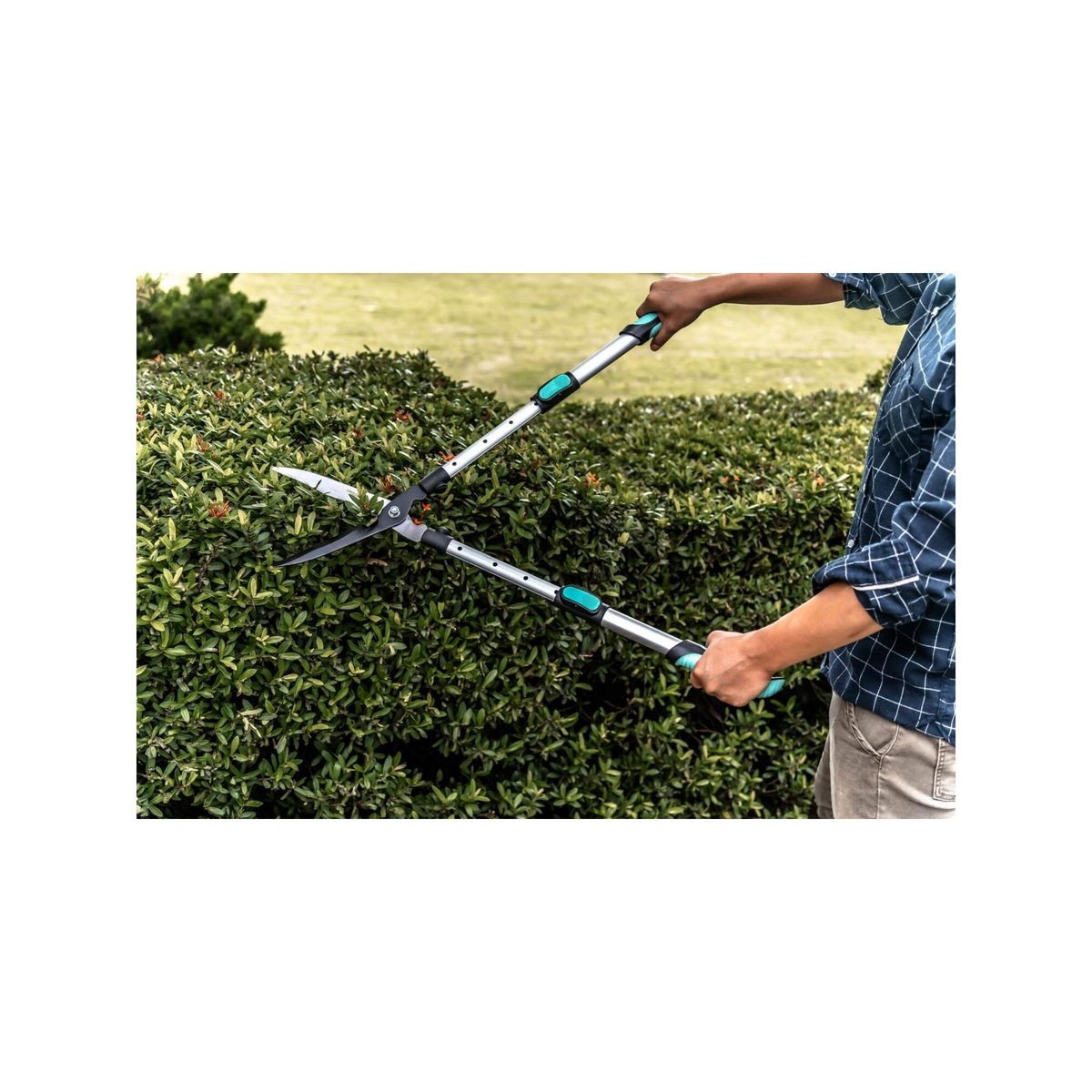 SUAN Cisaille à haie lame ondulée - Suan - Manche télescopique - Dimensions : 62-80 x 19-25 x 3 cm