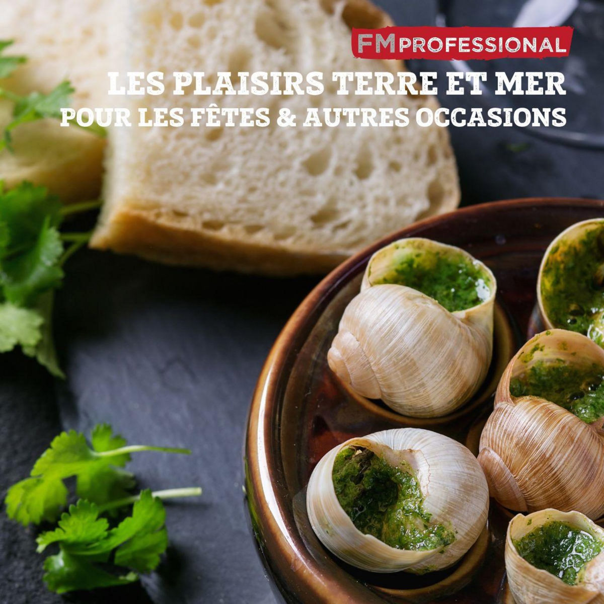 FM PROFESSIONAL Lot de 4 pinces à escargot FM Professional