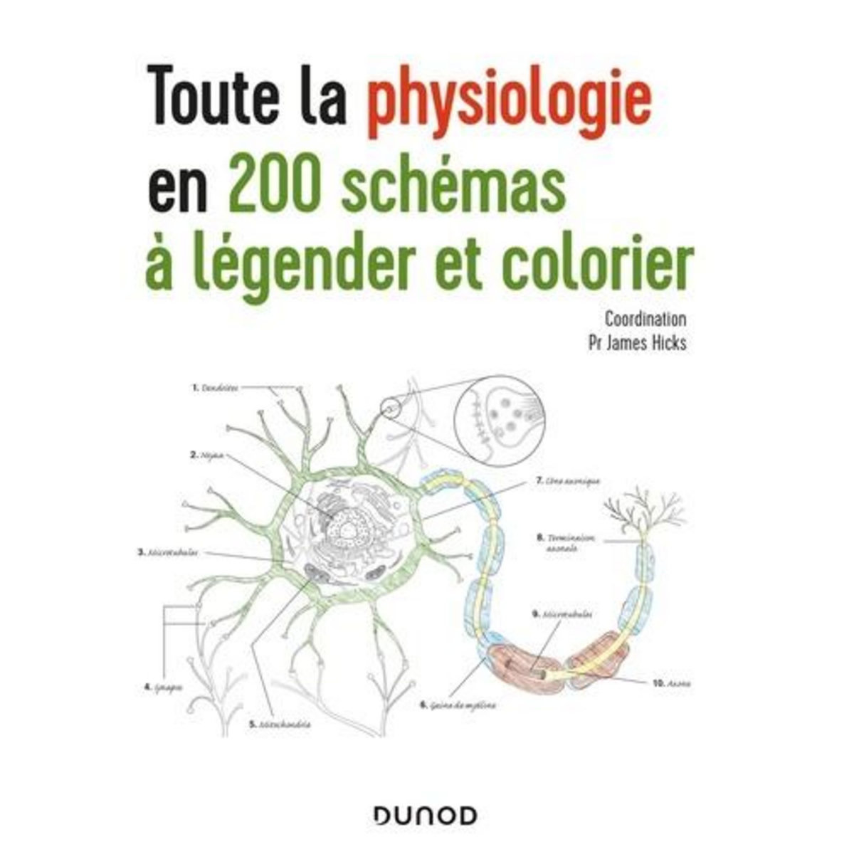 TOUTE LA PHYSIOLOGIE EN 200 SCHEMAS A LEGENDER ET COLORIER, Hicks James