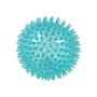 Voir la diapositive 2 : Paris Prix Lot de 2 Jouets pour Chien  Balle & Os  13cm Bleu