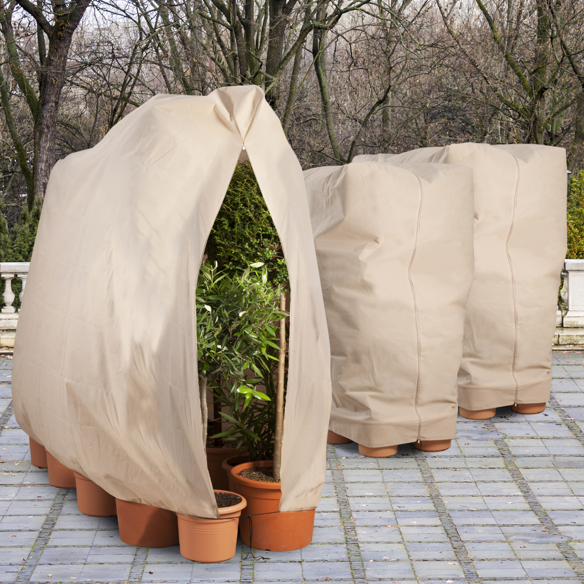 Voir la diapositive 2 : ID MARKET Lot de 3 housses d'hivernage pour plante et arbuste 80 x 160 cm