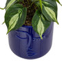 Voir la diapositive 2 : ATMOSPHERA Plante Artificielle en Pot  Soleya  30cm Bleu