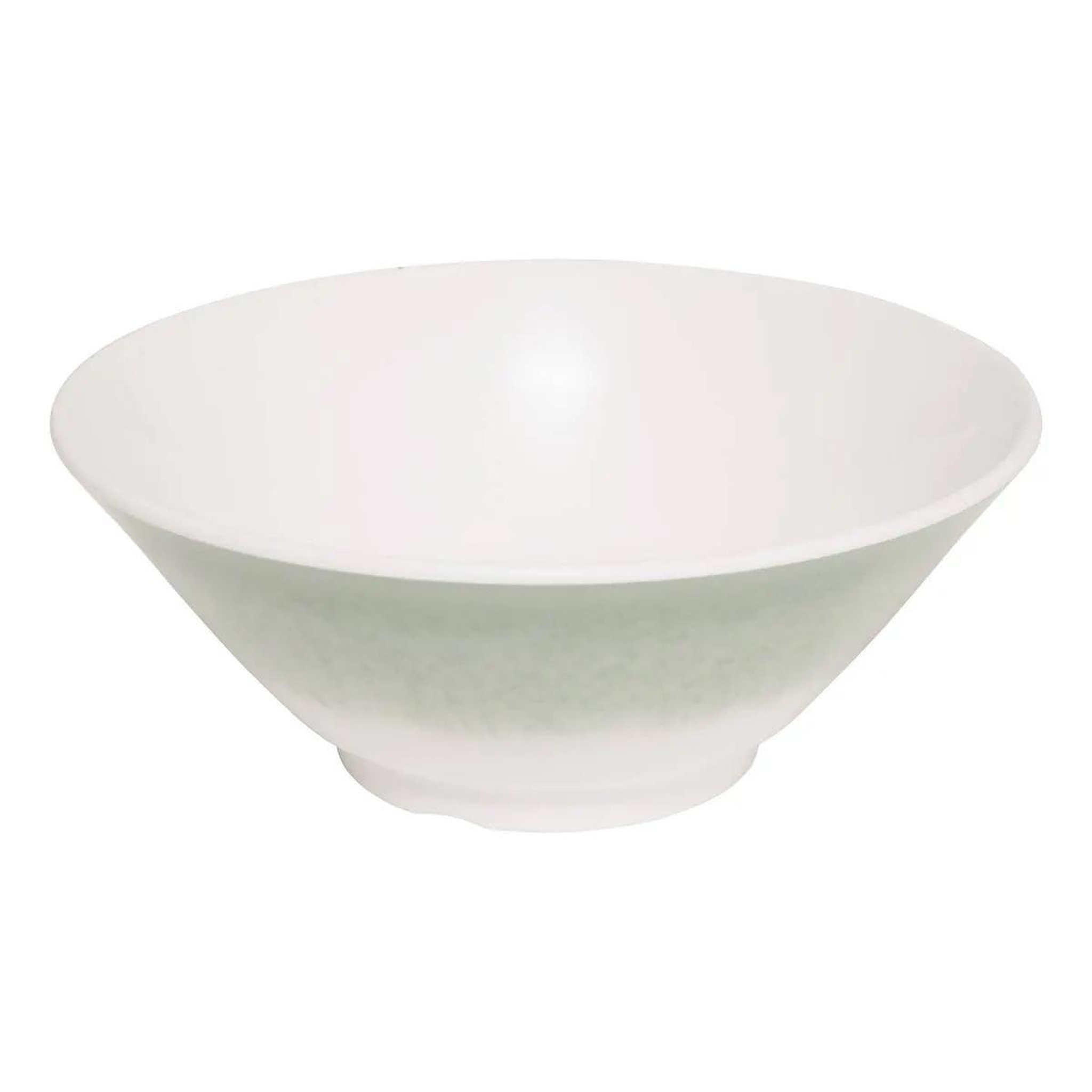 SECRET DE GOURMET Saladier en mélamine  clara  25cm vert