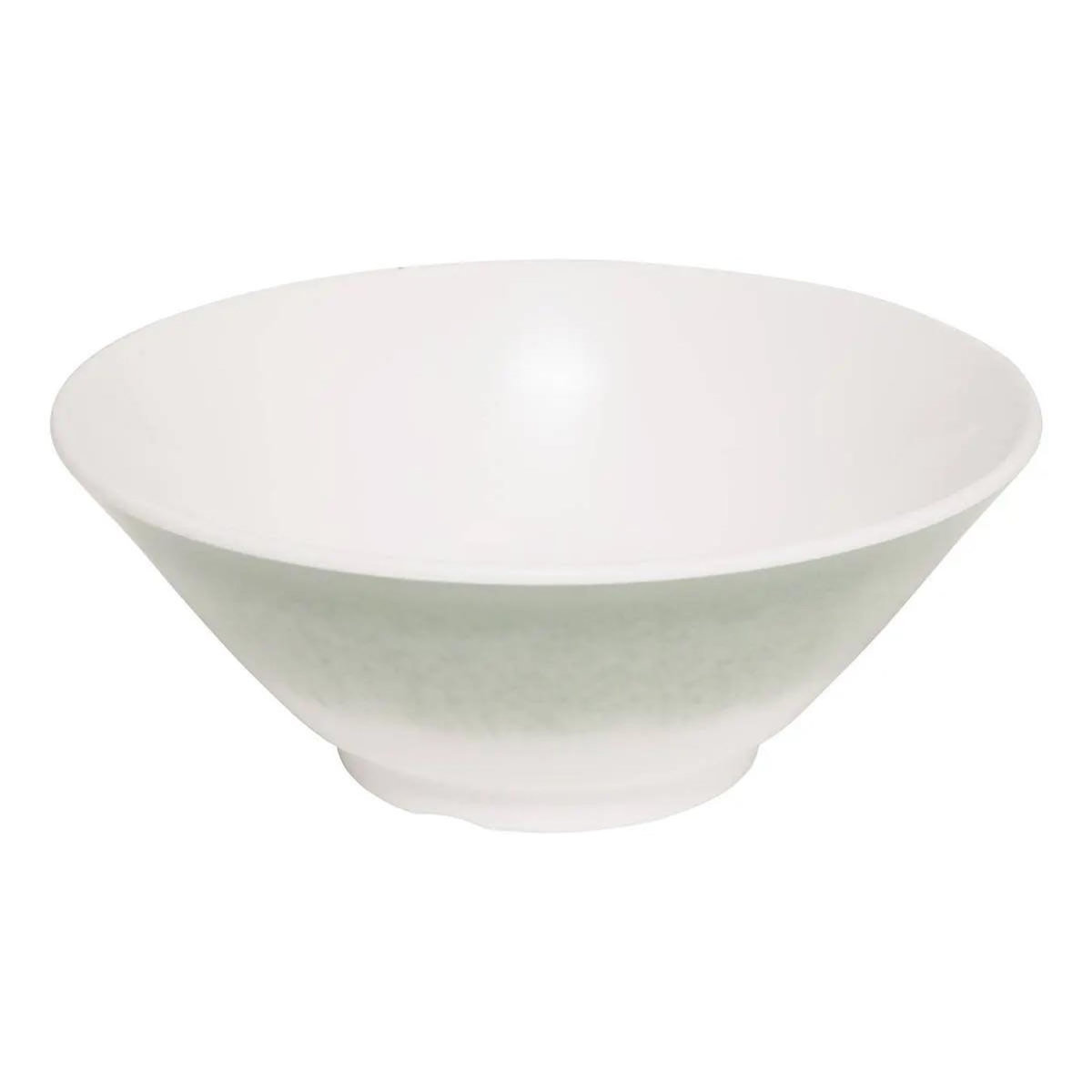 SECRET DE GOURMET Saladier en Mélamine  Clara  25cm Vert