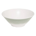 SECRET DE GOURMET Saladier en Mélamine  Clara  25cm Vert