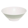Voir la diapositive 1 : SECRET DE GOURMET Saladier en Mélamine  Clara  25cm Vert