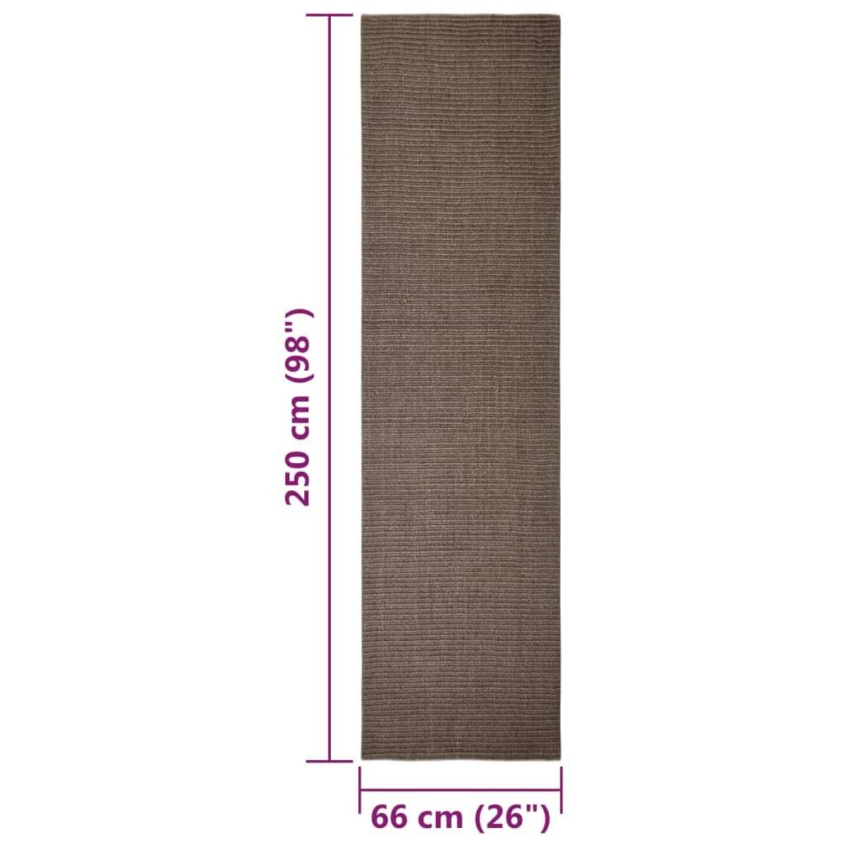 VIDAXL Tapis Sisal naturel 66x250 cm Marron