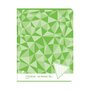 AUCHAN Cahier piqué 17x22cm 48 pages grands carreaux Seyes vert motif triangles
