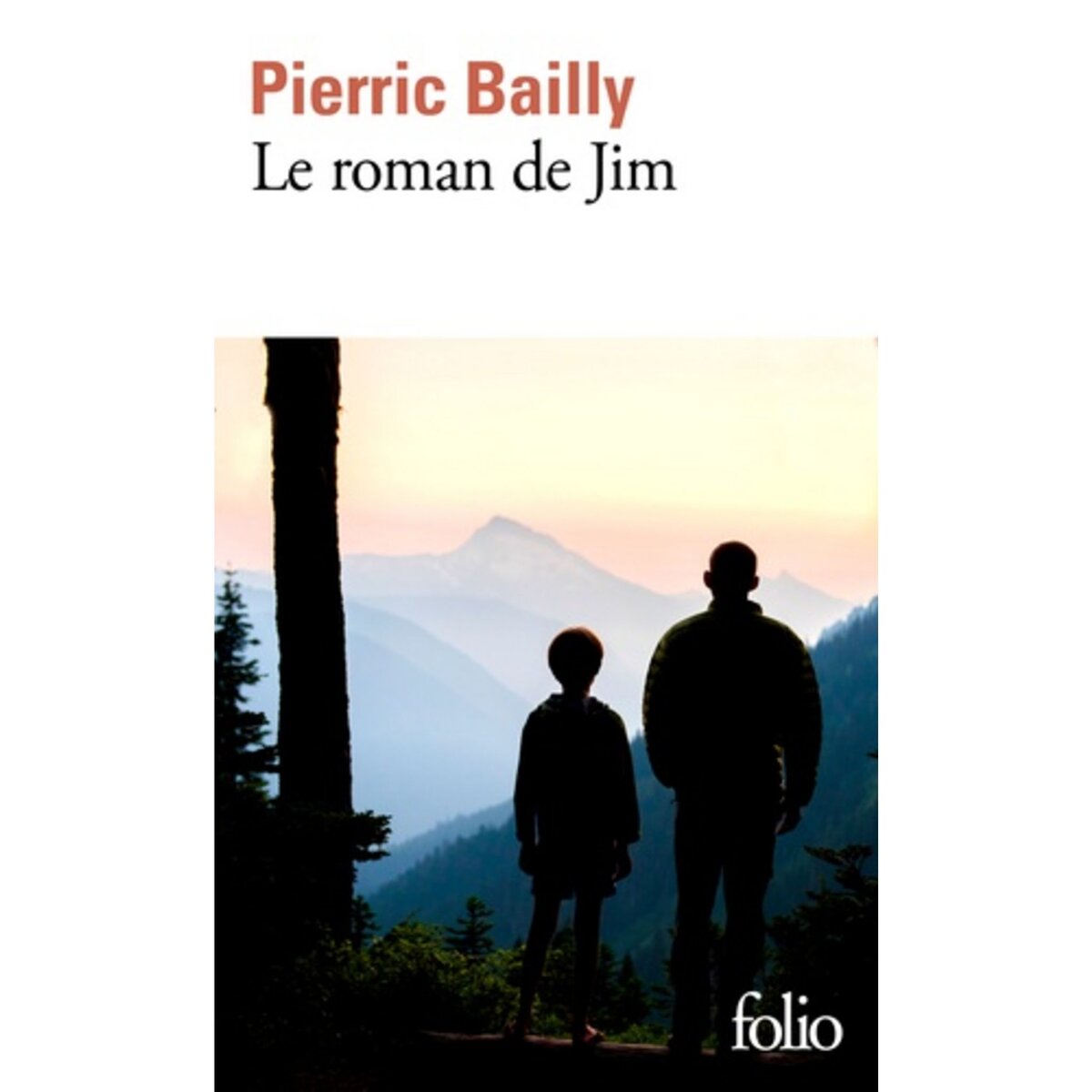 LE ROMAN DE JIM, Bailly Pierric