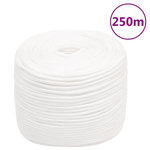 VIDAXL Corde de bateau Blanc complet 8 mm 250 m Polypropylene