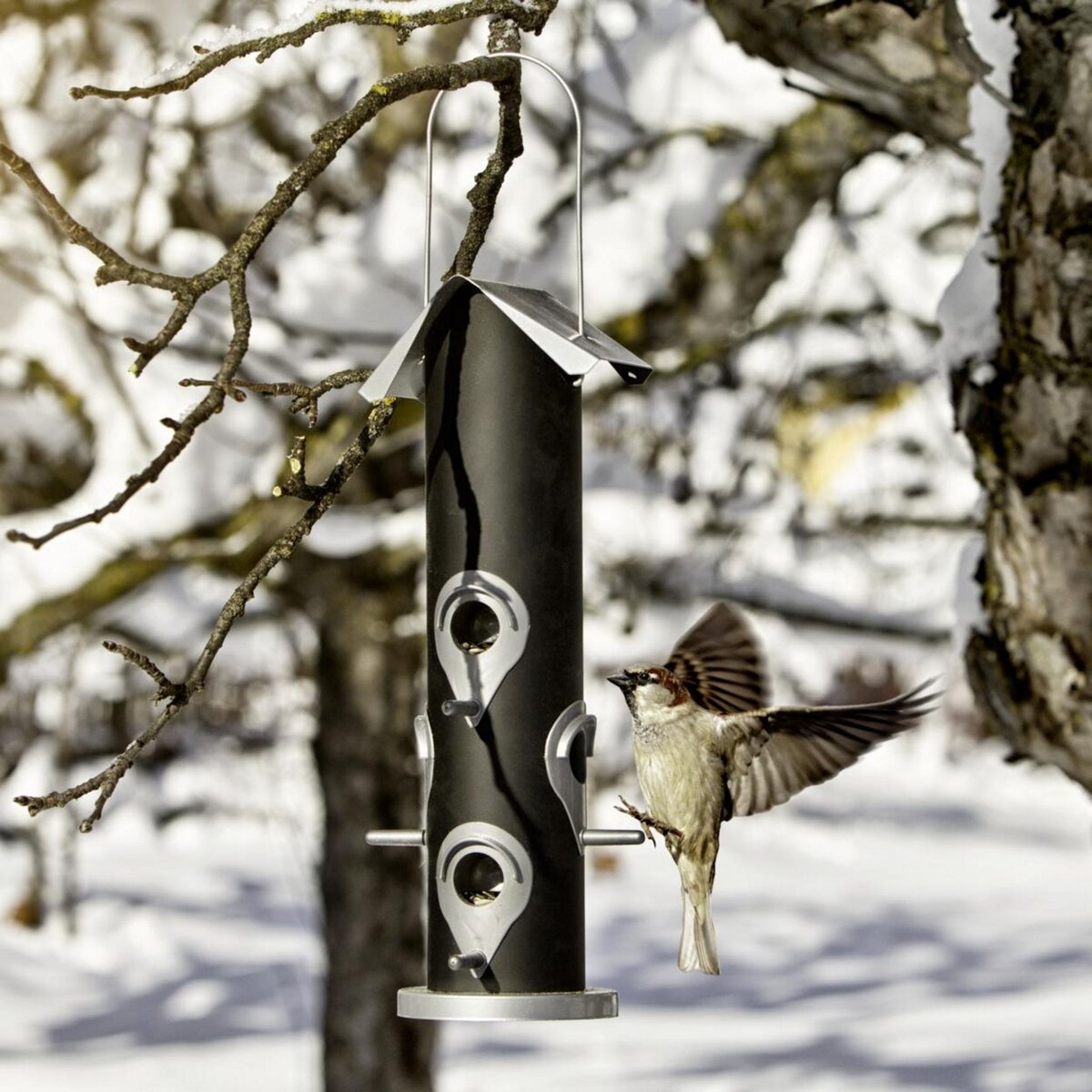 Windhager Mangeoire silo métal avec 6 ouvertures