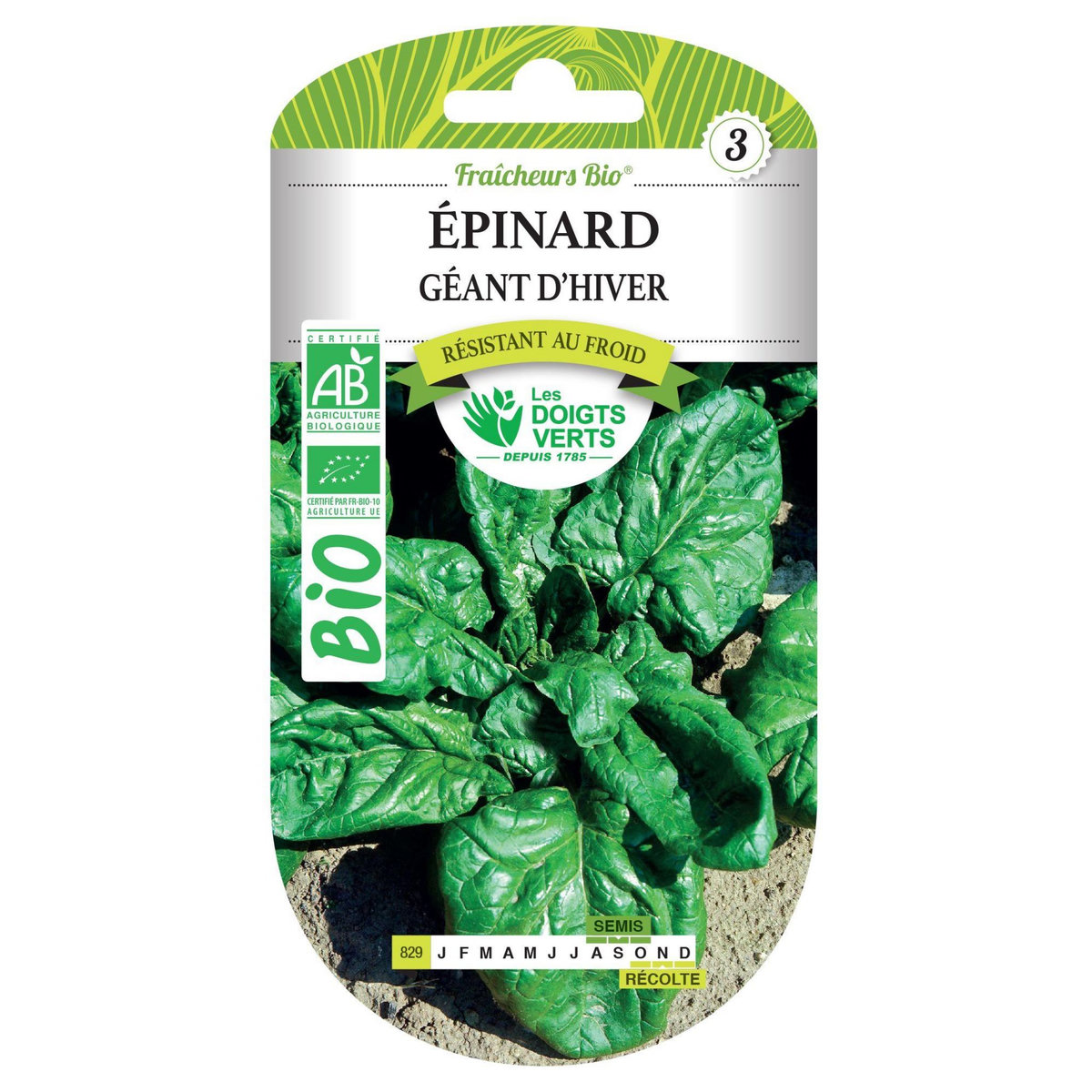 LES DOIGTS VERTS Graines épinard géant d'hiver BIO Les Doigts Verts