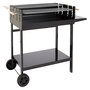 Voir la diapositive 2 : GARDENSTAR Barbecue charbon de bois rectangulaire en acier 100x60cm TROLLEY