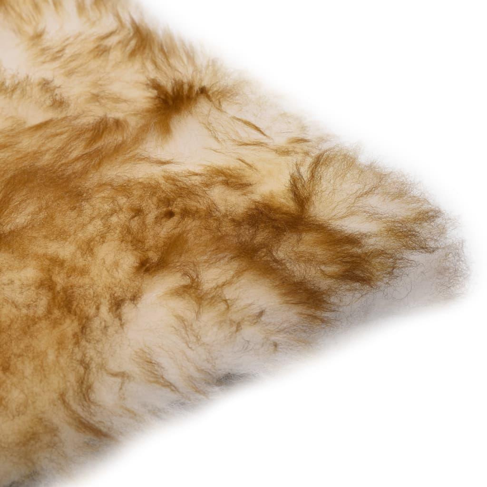 Voir la diapositive 3 : VIDAXL Coussins de chaise lot de 2 Melange de marron Mouton veritable