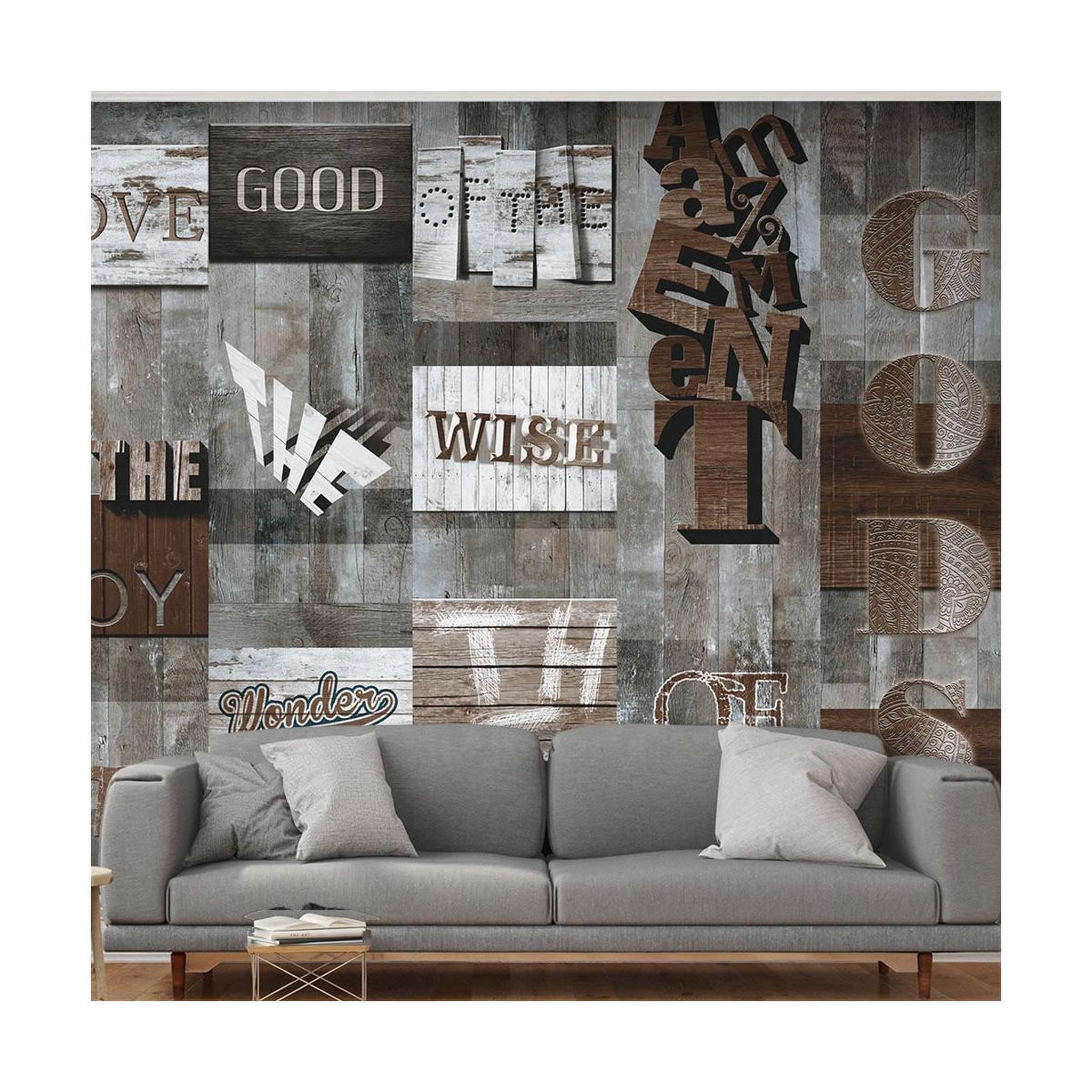 Paris Prix Papier peint  plato the amazement of the gods  50x1000cm