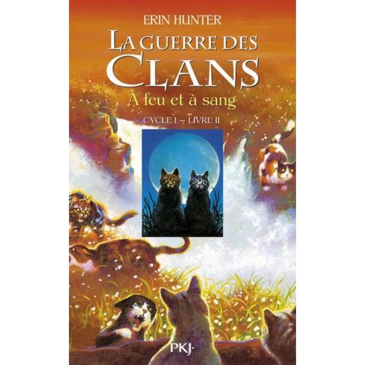 LA GUERRE DES CLANS (CYCLE 1) TOME 2 : A FEU ET A SANG, Hunter Erin