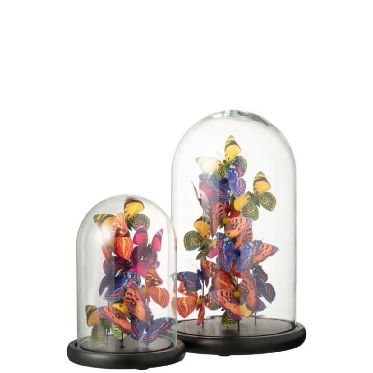 Paris Prix Cloche Déco en Verre  Papillons  38cm Multicolore