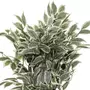  Plante Artificielle en Pot  Ficus  120cm Vert & Noir