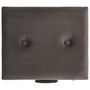 Voir la diapositive 5 : VIDAXL Tabouret de rangement 40 cm Gris Velours