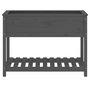 Voir la diapositive 5 : VIDAXL Jardiniere avec etagere Gris 111,5x54x81 cm Bois massif de pin