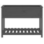 Voir la diapositive 5 : VIDAXL Jardiniere avec etagere Gris 111,5x54x81 cm Bois massif de pin