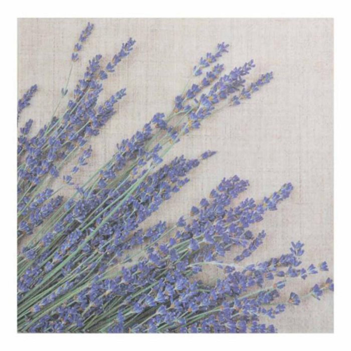 Paris Prix Lot de 20 Serviettes en Papier  Lavande  33x33cm Violet